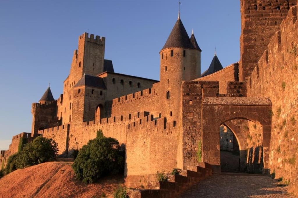 Appartement 3 Chambres Proche Centre Ville Carcassonne Zewnętrze zdjęcie